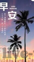 新西兰联赛足球比分-新西兰联赛足球比分，激情碰撞与战术博弈的竞技舞台